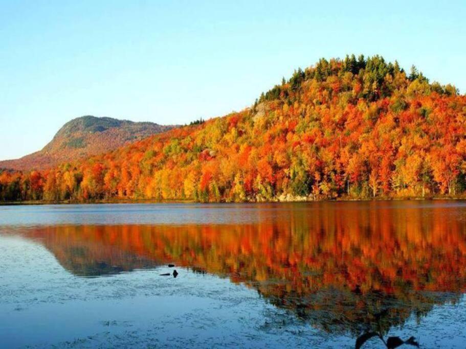 *Nouveaute* Foyer Au Bois, Plage, Montagne Et + Magog Bagian luar foto